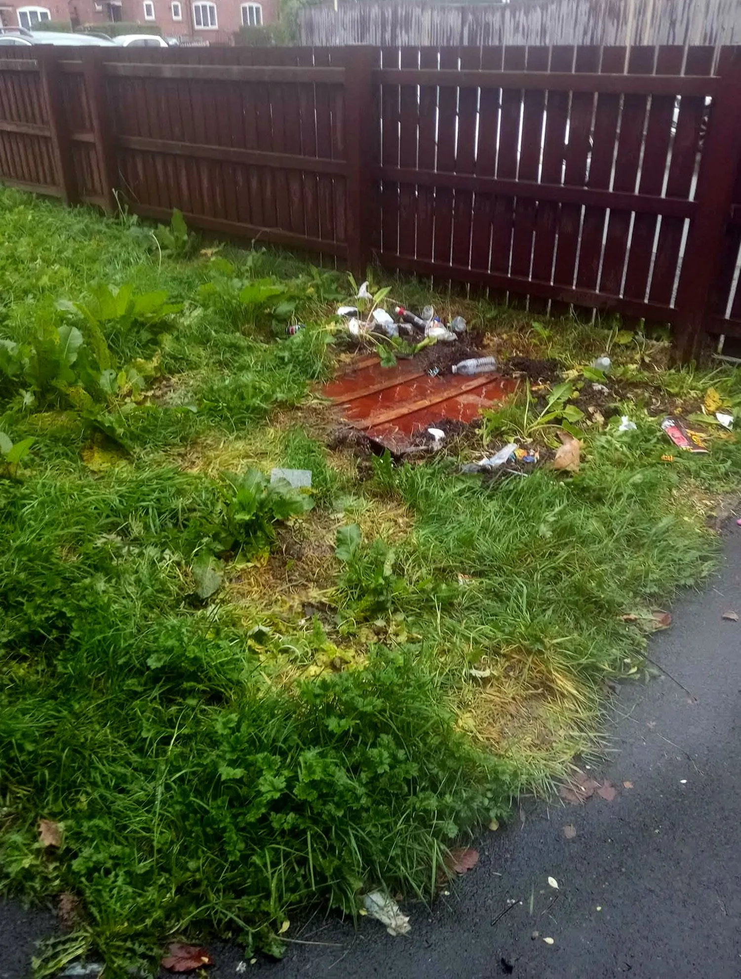 Residential junk removal project in Seattle